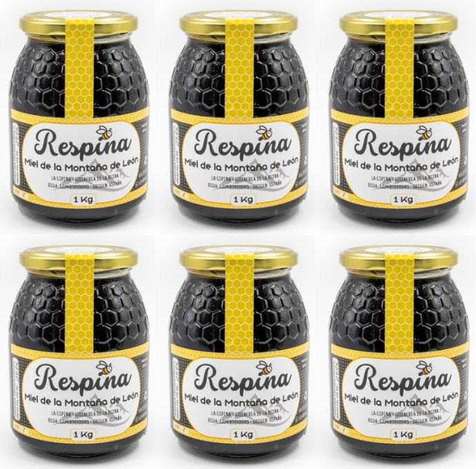 Miel de Bosque Artesanal 6kg - Mielato de Roble Crudo León | Respina Miel